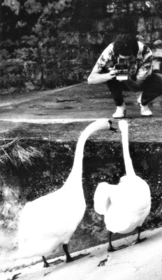 Freddie Mercury pic #664321