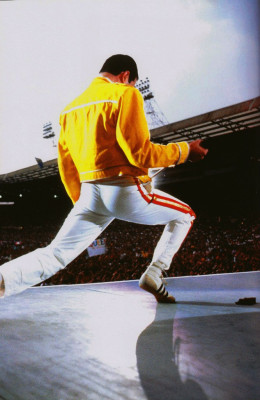 Freddie Mercury pic #734014