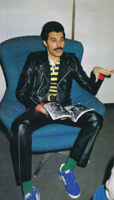 Freddie Mercury pic #693567