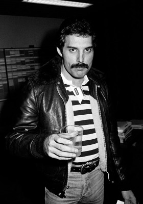 Freddie Mercury pic #693565