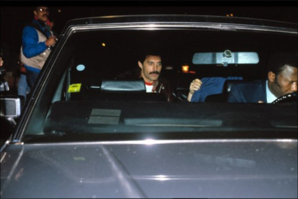Freddie Mercury pic #671040
