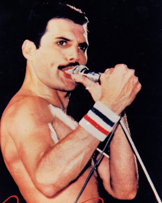 Freddie Mercury pic #713621