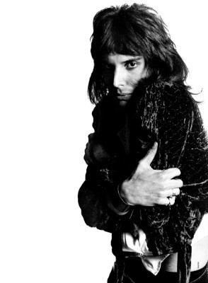 Freddie Mercury pic #671903