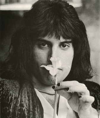 photo 17 in Freddie Mercury gallery [id713954] 2014-03-27 00:00:00