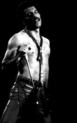 photo 25 in Freddie Mercury gallery [id717762] 2014-04-06 00:00:00