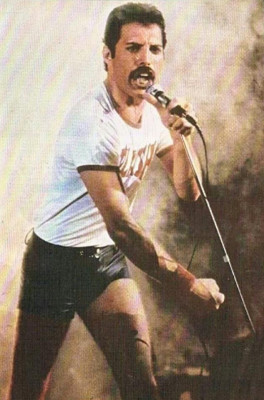 photo 20 in Freddie Mercury gallery [id717767] 2014-04-06 00:00:00