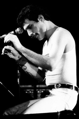 Freddie Mercury pic #713628