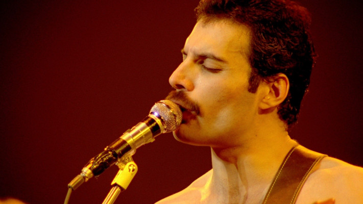 Freddie Mercury pic #712681