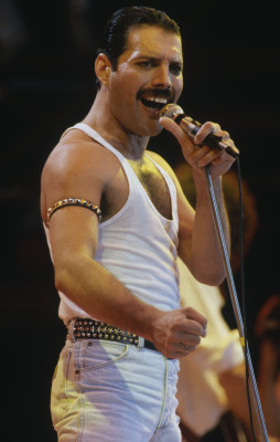 Freddie Mercury pic #715482