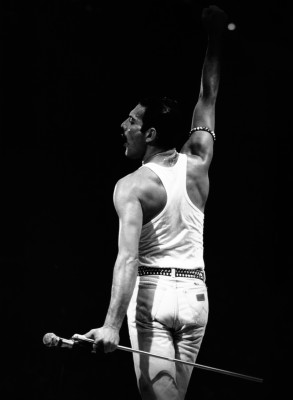 Freddie Mercury pic #716132