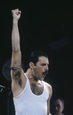 Freddie Mercury pic #715491