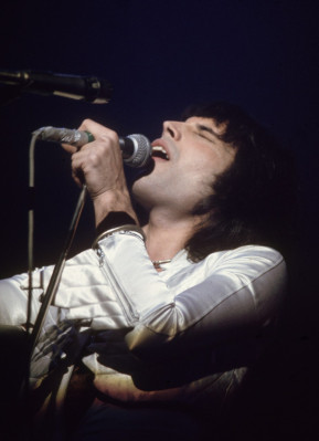 Freddie Mercury pic #715496