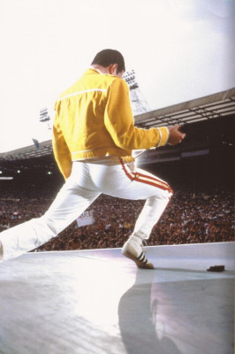 Freddie Mercury pic #716126