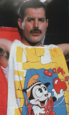 Freddie Mercury pic #716152