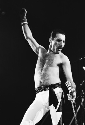 Freddie Mercury pic #713627
