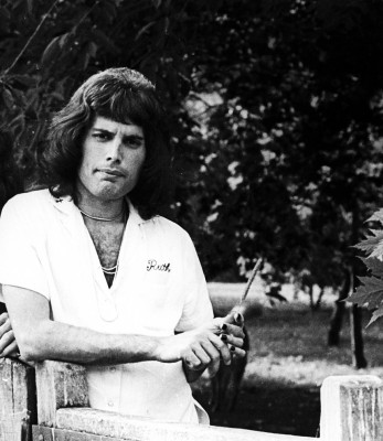 Freddie Mercury pic #718496