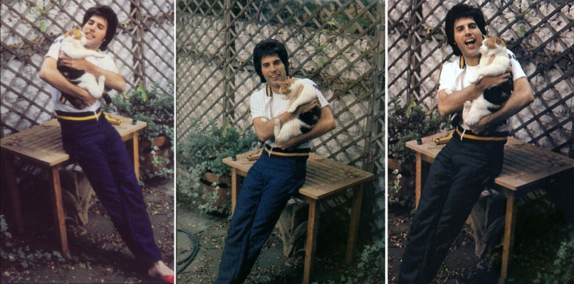 Freddie Mercury pic #716098