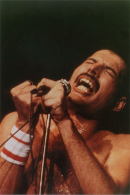 Freddie Mercury pic #714226