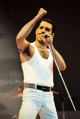 Freddie Mercury pic #715492