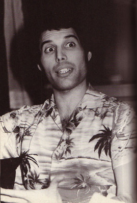 Freddie Mercury pic #663741