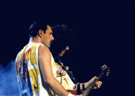 Freddie Mercury pic #714009