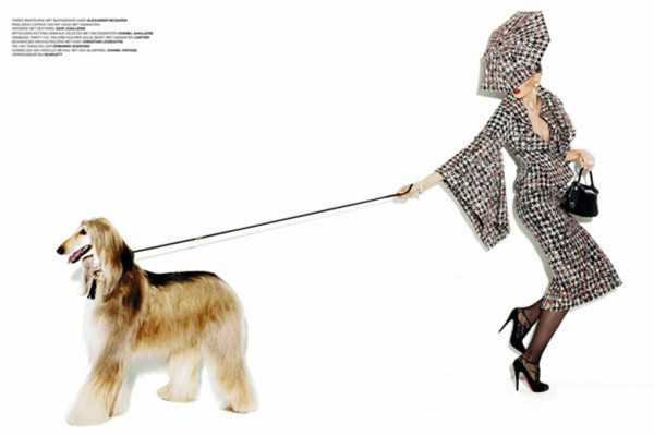 photo 24 in Gustavsson gallery [id212823] 2009-11-27 00:00:00