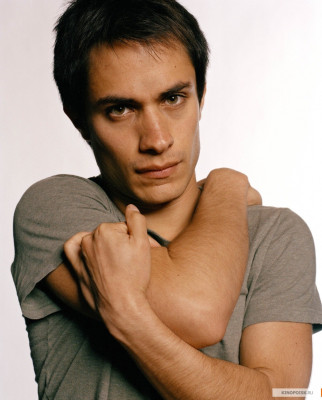 Gael Garcia Bernal pic #115349