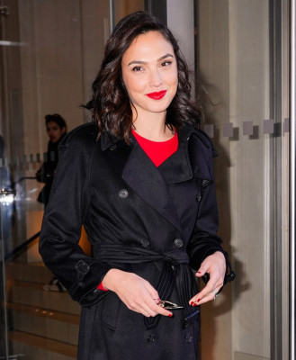 Gal Gadot pic #1029626