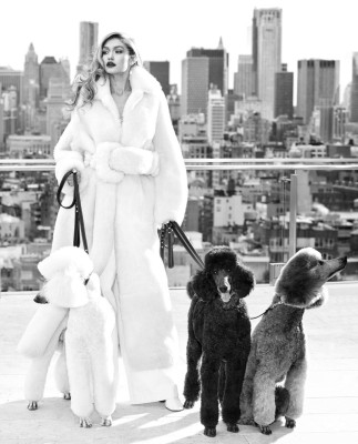 Gigi Hadid - Harpers Bazaar US May 2018