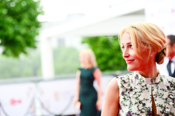 photo 22 in Gillian Anderson gallery [id969546] 2017-05-29 00:00:00