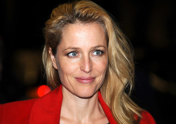 Gillian Anderson pic #571891