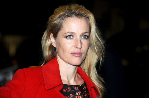 Gillian Anderson pic #571889