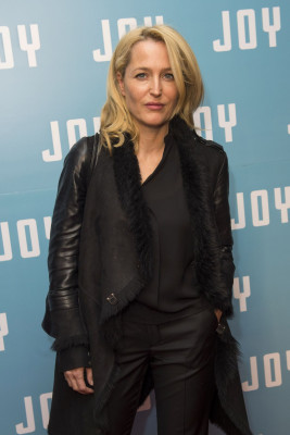 photo 6 in Gillian Anderson gallery [id854675] 2015-12-20 00:00:00