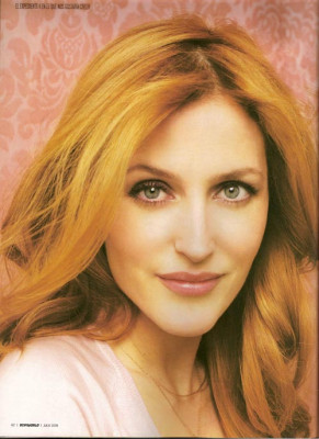 photo 22 in Gillian Anderson gallery [id105307] 2008-07-24 00:00:00
