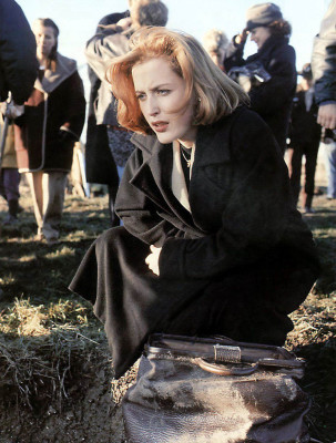 Gillian Anderson pic #53800