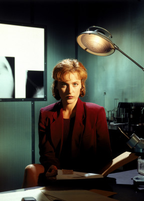 Gillian Anderson pic #377329