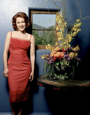 photo 25 in Gillian Anderson gallery [id86553] -0001-11-30 00:00:00