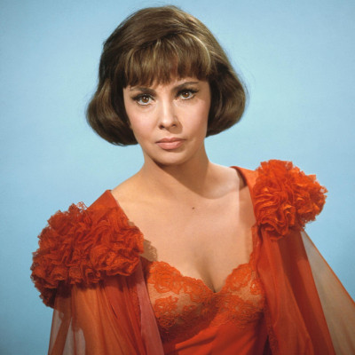 photo 22 in Lollobrigida gallery [id358879] 2011-02-15 00:00:00