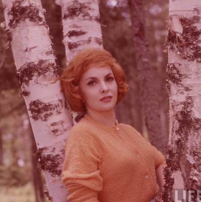 Gina Lollobrigida pic #172699