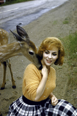 Gina Lollobrigida pic #199706