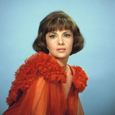 Gina Lollobrigida pic #199710