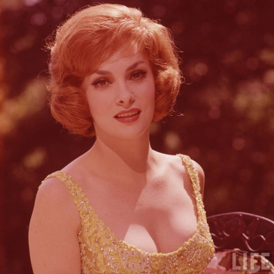 Gina Lollobrigida pic #172670