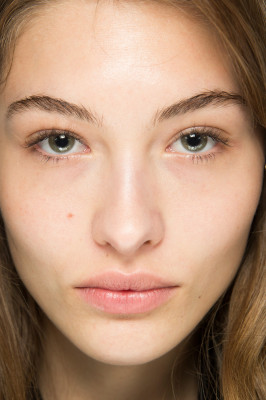 Grace Elizabeth - LANVIN FALL/WINTER 2017 FASHION SHOW IN PARIS