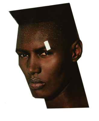 photo 17 in Grace Jones gallery [id311126] 2010-11-08 00:00:00