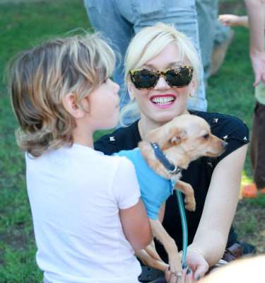 photo 3 in Gwen Stefani gallery [id320279] 2010-12-01 00:00:00