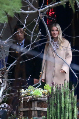 Gwyneth Paltrow pic #966698