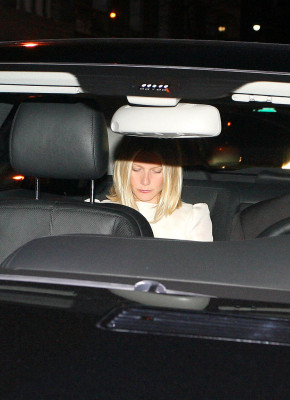 Gwyneth Paltrow pic #908783
