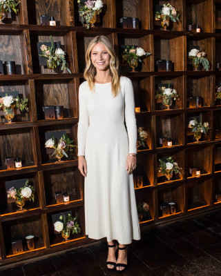 Gwyneth Paltrow pic #925324
