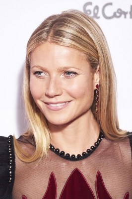 Gwyneth Paltrow pic #919692
