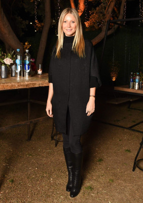 Gwyneth Paltrow pic #937309